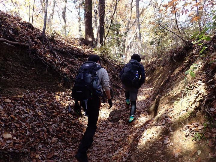 足元には大量の落ち葉。滑らないよう踏みしめて登ります