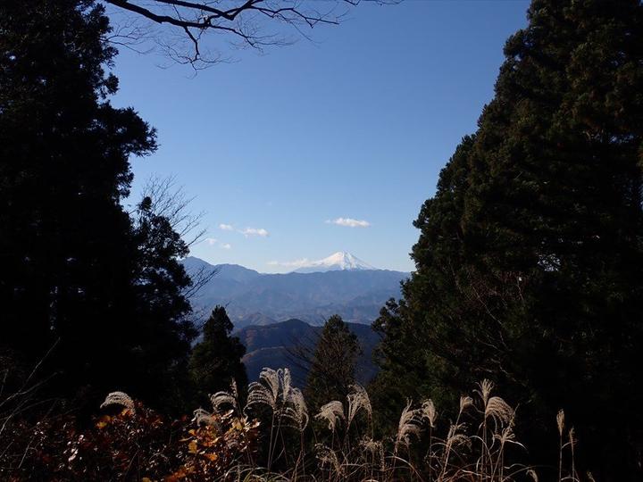 冠雪した富士山も望むことができました
