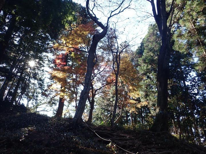 冬の山では日陰と日向で明るさや体感気温がことなります