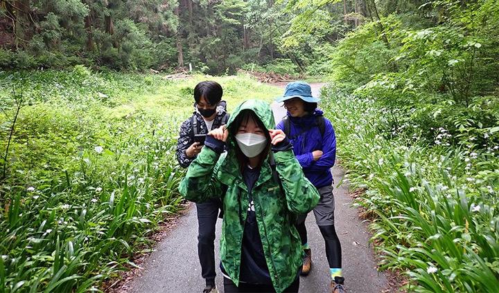 スタートしてしばらくは舗装路。両脇にシャガの花が咲いていました