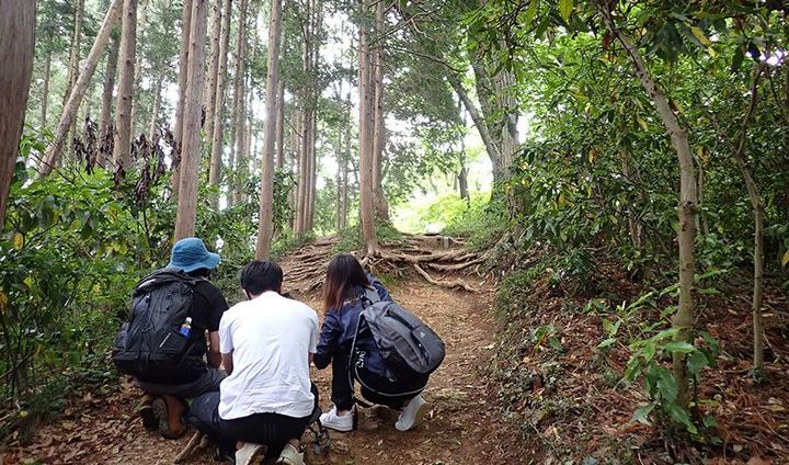 山頂手前、木漏れ日があまりにきれいで写真を撮りまくるメンバーを背後から