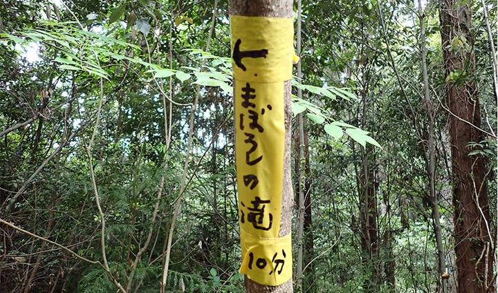 気になりすぎた「まぼろしの滝 10分」のテープ…