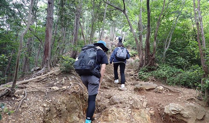 山頂の手前、岩と木々の根に覆われた最後の急坂を一気に登る