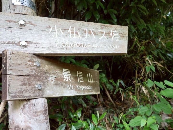 ここから一気に山道になります