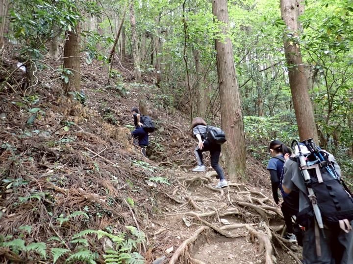 前半は斜度がキツめ…