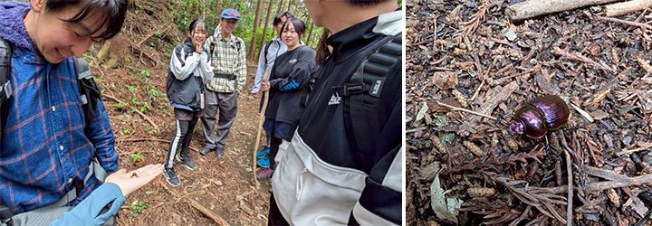 虫に対する対応の落差が面白い