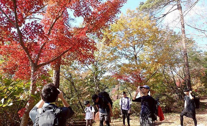 紅葉を見上げて