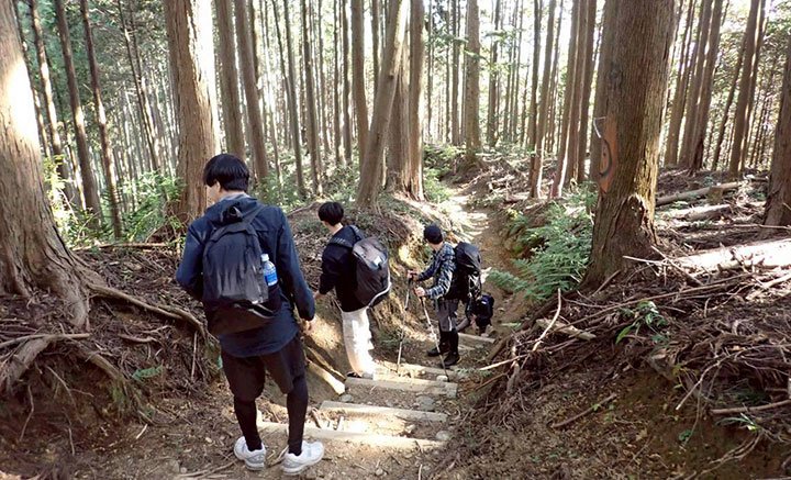 大人でも大変な段差